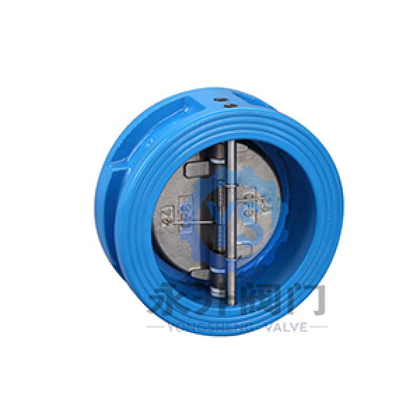 Dual Plate Check Valve 