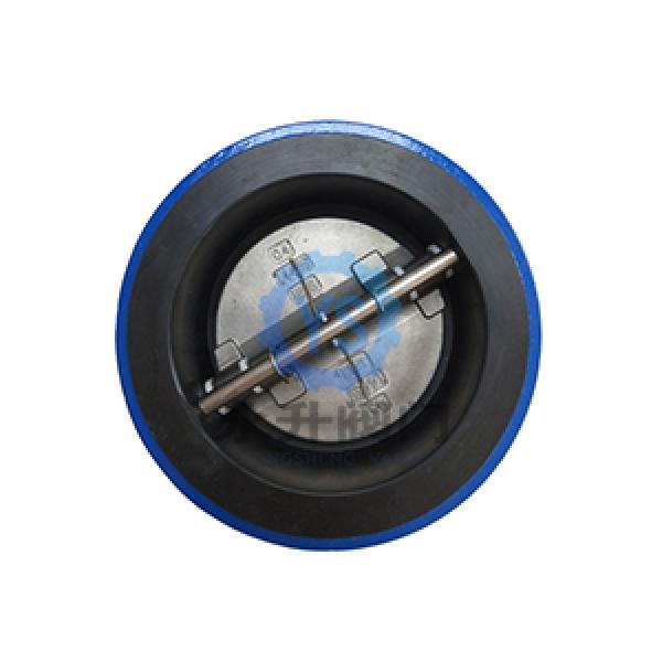 Full Lined Dual Plate Check Valve  